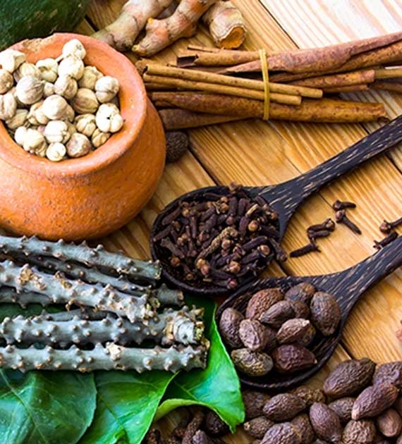 Top 10 Ayurvedic Herbs That Are Highly Recommended