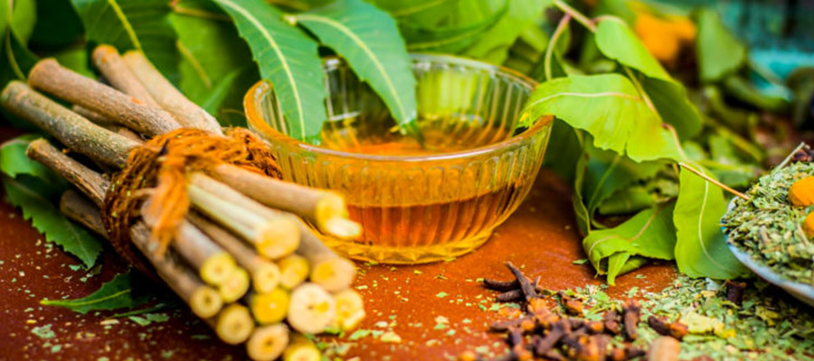 Ayurvedic Basic Herbal Course