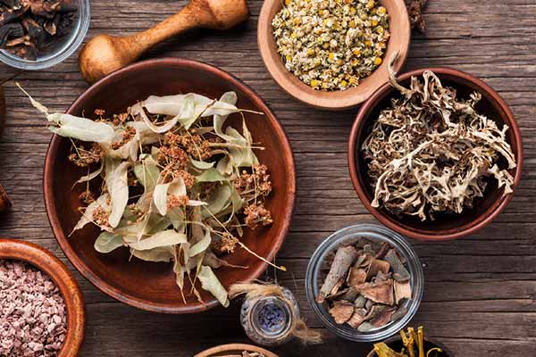 Ayurveda Basic Herbal Course