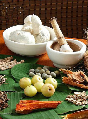 Ayurveda Courses