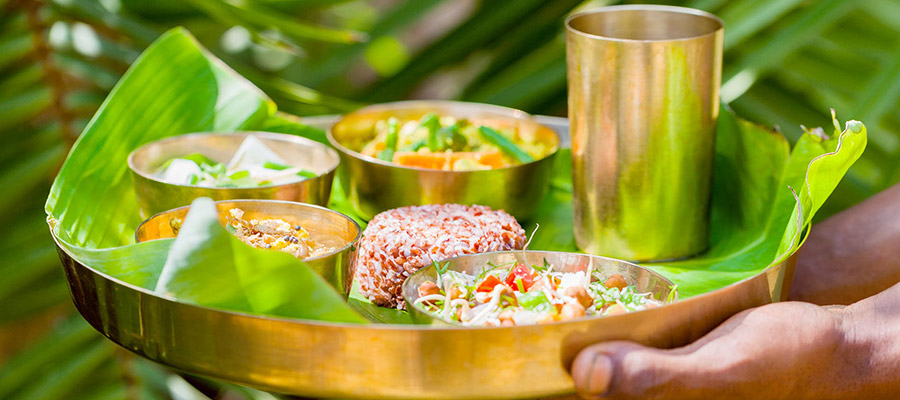 Ayurveda Herbal Diet Retreat